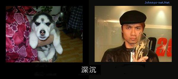 dvubb 图片点击可在新窗口打开查看